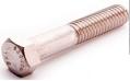 304 SS HEX CAP SCREW 1/2-13X1