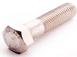 316 SS HEX CAP SCREW 1/4-20X2